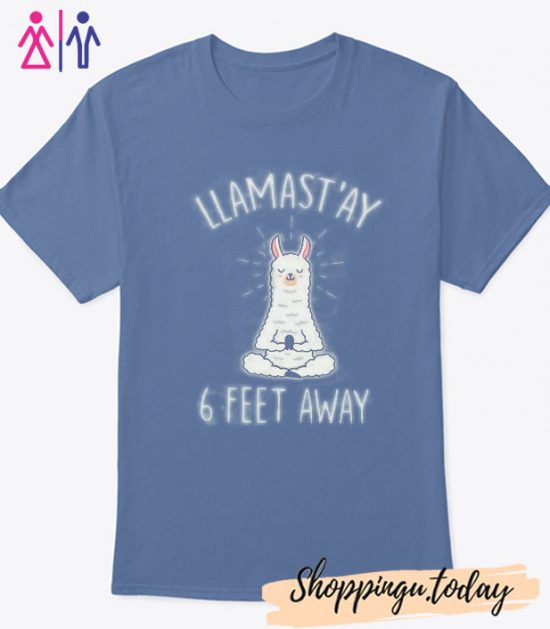 Llamast'ay Yoga Funny T-Shirt