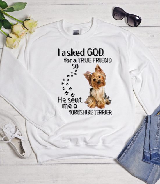 I Asked God For A True Friend Cool Trending Sweatshirt